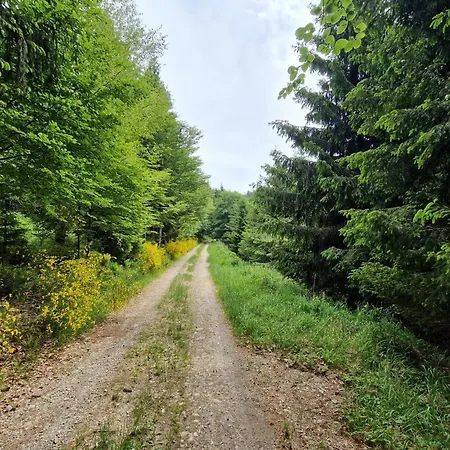 Daire Ewigkeit - 4-sterne Dtv Klassifiziert Leutkirch im Allgäu