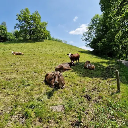 Ewigkeit - 4-sterne Dtv Klassifiziert Leutkirch im Allgäu